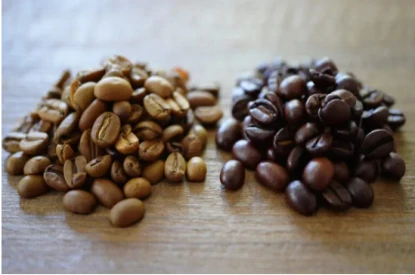 Арабика и робуста: что лучше и в чем отличия