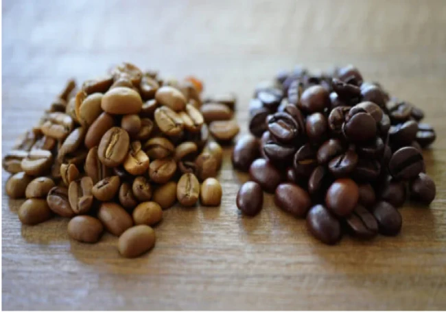 Арабика и робуста: что лучше и в чем отличия