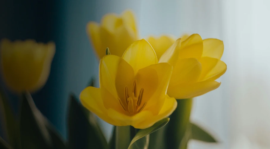 Кофе свежей обжарки